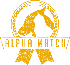 alpha match logo