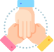 Experienced Team